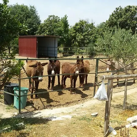 בית כפרי Ficodindia בלבדרה